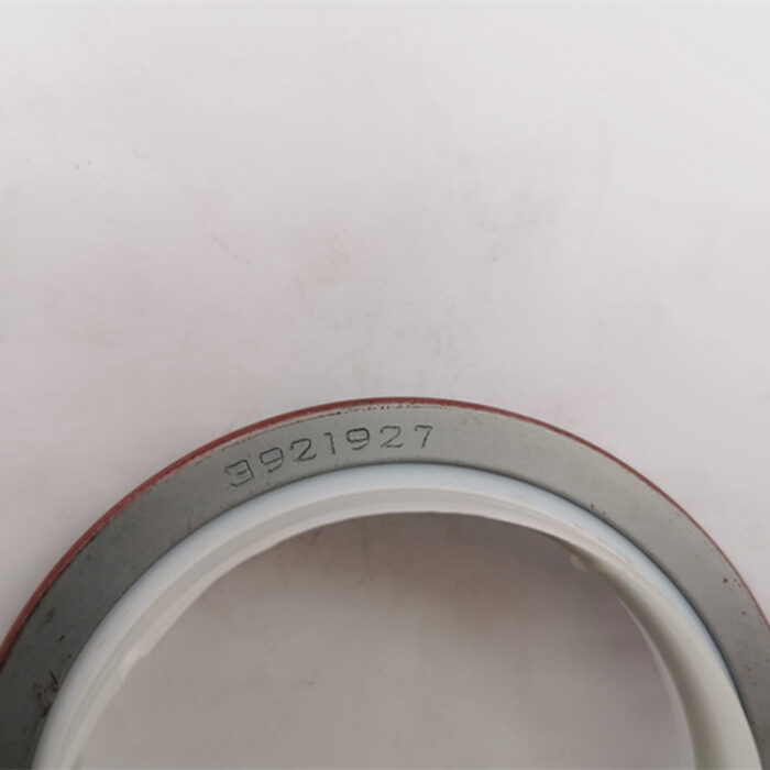 Cummins 6CT Engine Retentor 3921927 (1) - 图片 3
